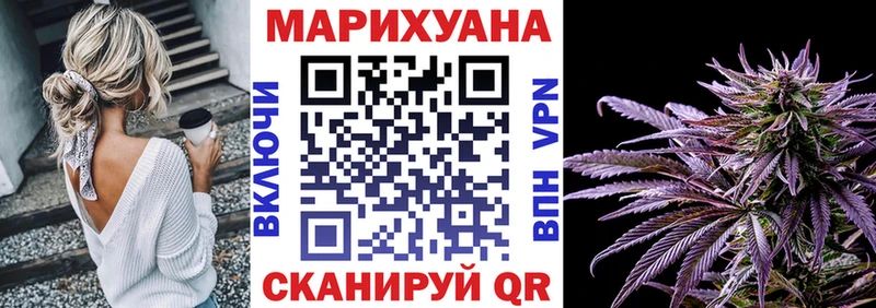 дарнет шоп  Сунжа  Канабис индика 